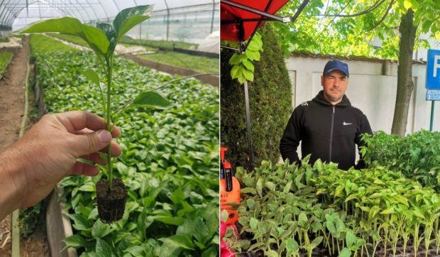 Un român s-a întors din Anglia după 9 ani ca să facă agricultură în țară, dar a aflat de ce nu merge nimic: „N-avem soluții”