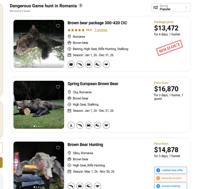 oferte vânătoare ursi România