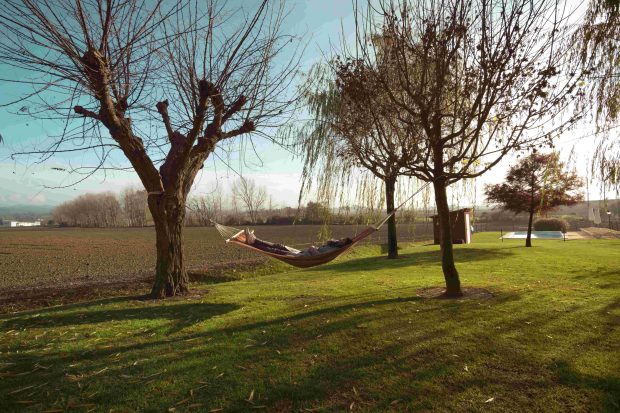 Tehnici eficiente pentru a-ți „reseta” rapid mintea în mai puțin de 30 de minute, potrivit studiilor recente