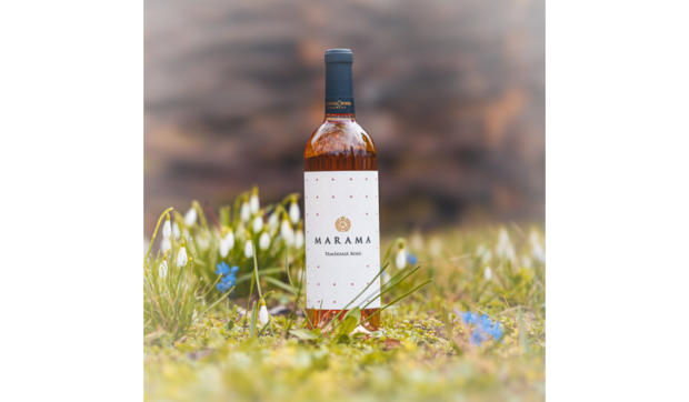 Două vinuri de la Domeniul Coroanei Segarcea, considerate perfecte la prestigioasa competiție Femmes et Vins du Monde din Monaco