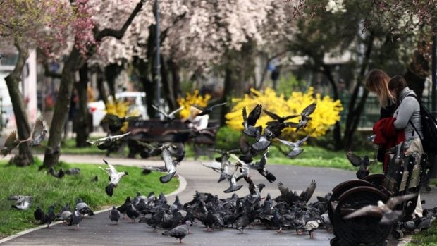 Vremea în România pentru duminică, 19 aprilie 2026: temperaturi ușor peste medie și averse izolate