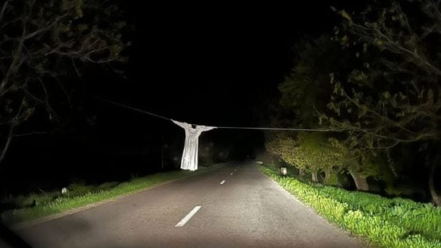 Șoferii, puși în pericol de o „sperietoare” pe DJ 303, în Călărași: „Acolo leșinam!”