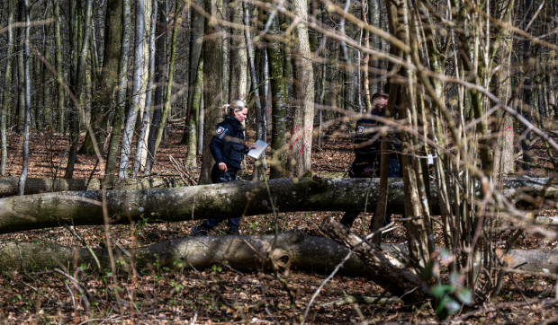 O adolescentă, o tânără mamă și bebelușul ei au murit la o vânătoare de ouă de Paște, în Germania, striviți de un copac prăbușit de vânt