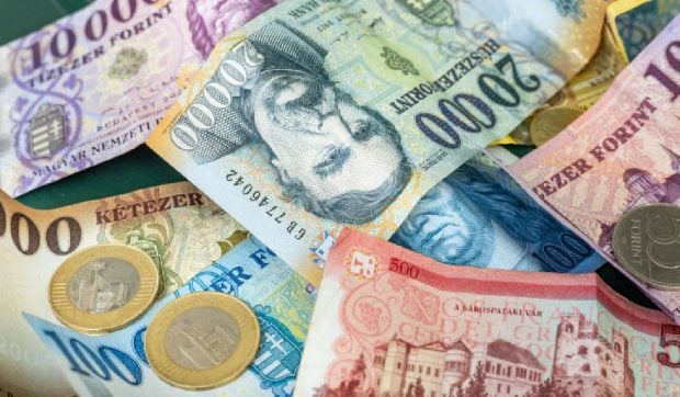 O fundație UDMR din Cluj a primit fonduri uriașe din partea loteriei ungare înainte de alegeri