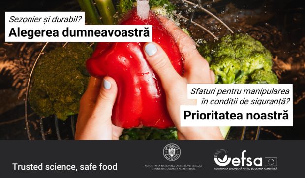 Strategii practice pentru a reduce risipa alimentară și a economisi bani
