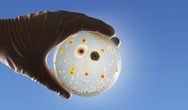 Atenție la salata cu icre de hering! Dr. Tudor Ciuhodaru avertizează asupra unui lot contaminat cu Listeria