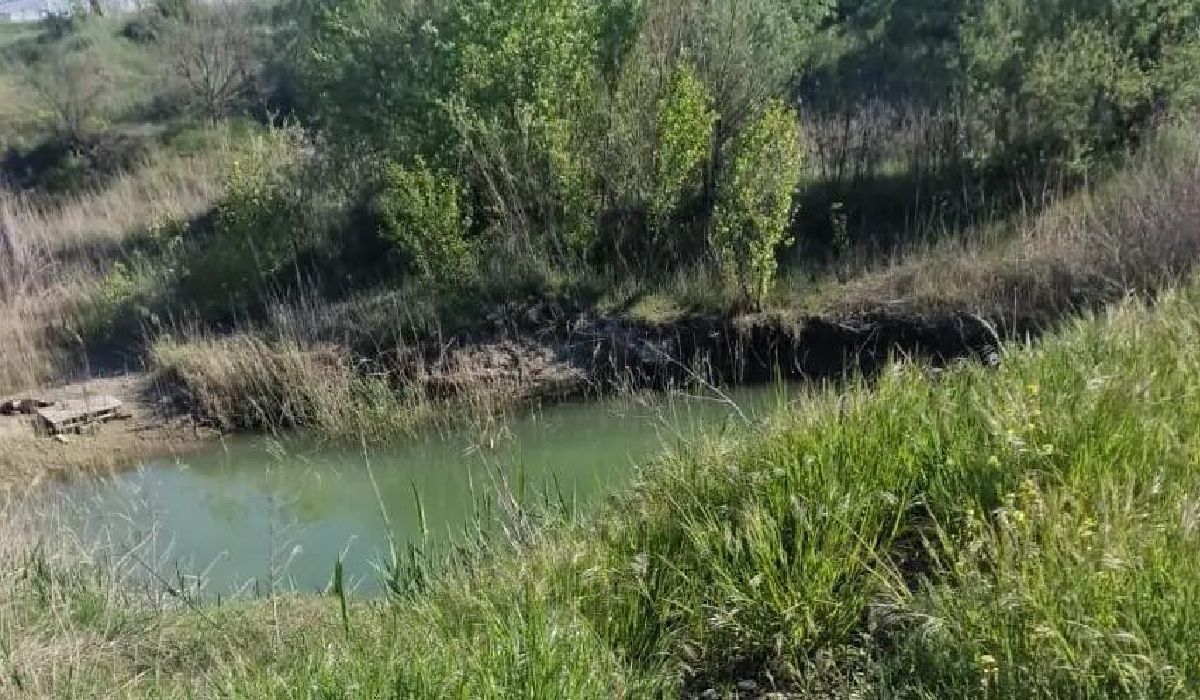 Copilul de 4 ani din Vrancea dat dispărut de mamă a fost găsit mort după o oră, într-o baltă din Suraia