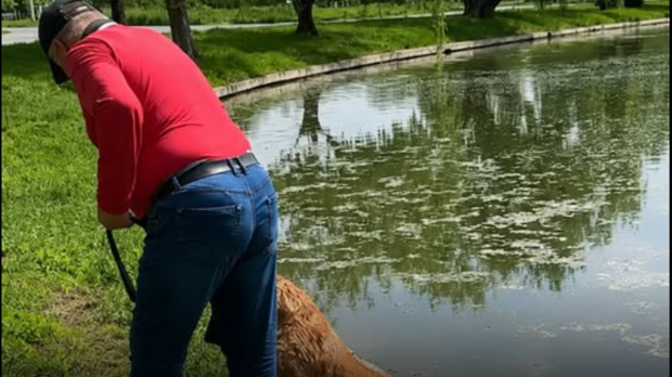 Dosar penal pentru cruzimea unui bărbat care și-a forțat câinele să stea sub apă până la epuizare. Martorii l-au salvat