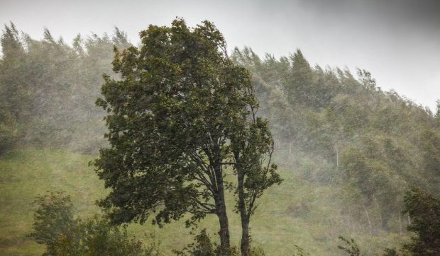 Vijelii puternice lovesc mai multe zone în următoarele ore. ANM a emis cod galben în București și 12 județe