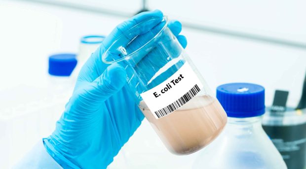 Apă cu E.coli în Târgu Secuiesc: DSP Covasna confirmă bacterii periculoase în fântânile din oraș, ce interzice legea