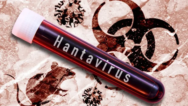 Focarul de hantavirus pe nava MV Hondius: Riscuri, măsuri și perspective conform OMS