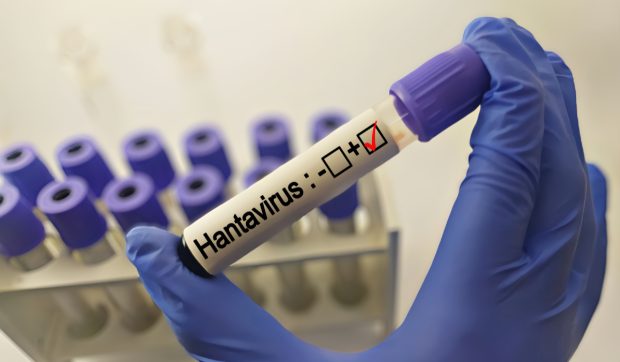 Țara în care numărul cazurilor de hantavirus este în creștere. Experții dau vina și pe schimbările climatice