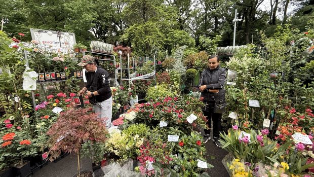 Festivalul Plantelor Exotice și Fructifere Învăluie Campusul Agronomie în Culoare și Aroma Primăverii
