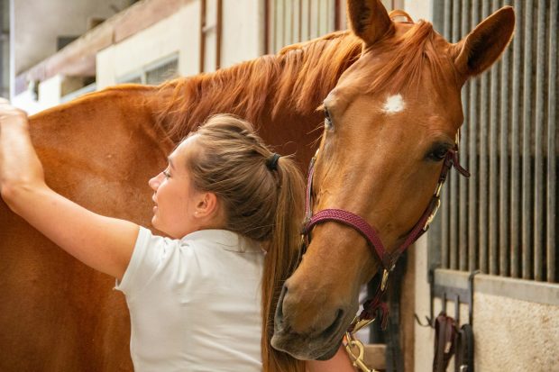 Agricultor în culturi vegetale și crescător de animale: transformă-ți pasiunea pentru pământ și animale într-o profesie certificată