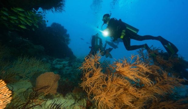 Cinci turiști italieni au murit în vacanță în Maldive. Printre ei, o profesoară universitară și fiica ei de 20 de ani