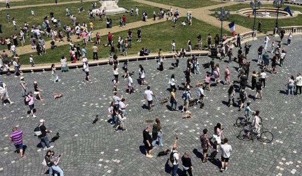 Rochițe, bandane și multă încăpățânare. Zeci de teckeli au luat cu asalt Timișoara la „Marea Plimbare a Șoricarilor”