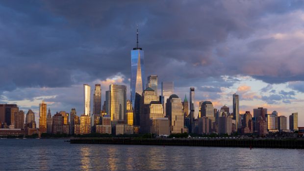 O româncă își pune casa din New York la dispoziție celor care au grijă de pisica ei: „E un pic dificilă la început”