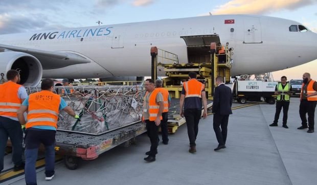 Peste 4.000 de oi, trimise din România în Algeria cu avioane cargo: „Au ajuns în siguranță în două ore și jumătate”