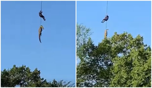 Polițist sud-african și crocodil capturate cu elicopterul într-o căutare riscantă a unui om de afaceri dispărut