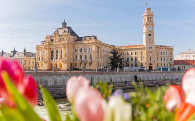 Cum a ajuns Primăria Oradea să-și dea singură amendă pentru un gard degradat