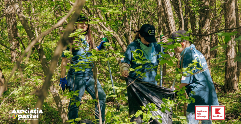 Asociația pastel și Kaufland România au intervenit cu 80 de voluntari în Pădurea Râioasa, pentru o acțiune de ecologizare