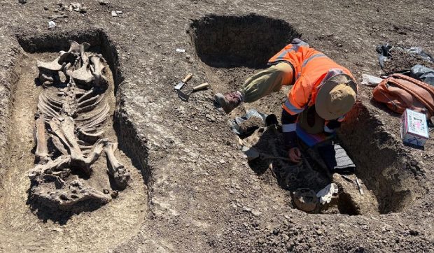 Descoperire arheologică impresionantă pe traseul viitoarei Centuri de Vest din Timișoara: un războinic cu calul său și comori antice