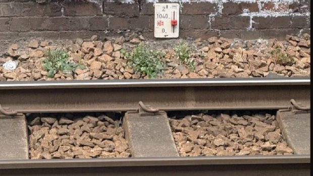 Misterele plăcilor de lângă șinele metroului londonez: elemente cruciale pentru siguranța călătorilor