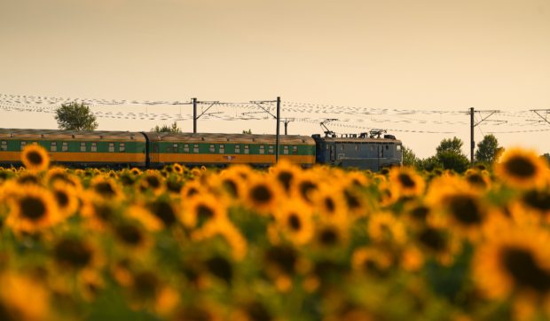 „Litoralul pentru Toți” 2026: Acces dificil la mare fără trenuri și operatori privați