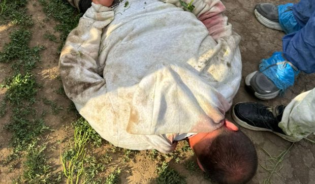 După ore de căutări intense, suspectul crimii din Bihor a fost prins într-un lan de rapiță