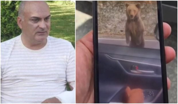 Bulgar atacat de urs pe Transfăgărășan: „A spart geamul și a încercat să mă tragă afară din mașină”