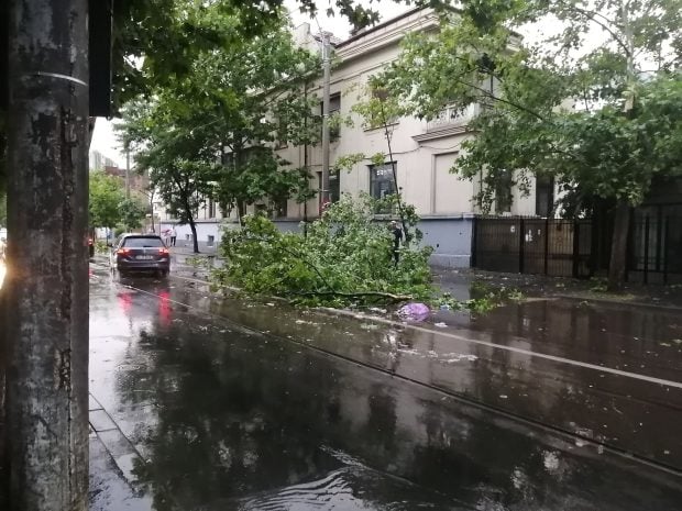 Dezastrul lăsat în urmă de furtunile de cod roșu și cod portocaliu din România: un bărbat a murit și zeci de străzi au fost blocate de copaci