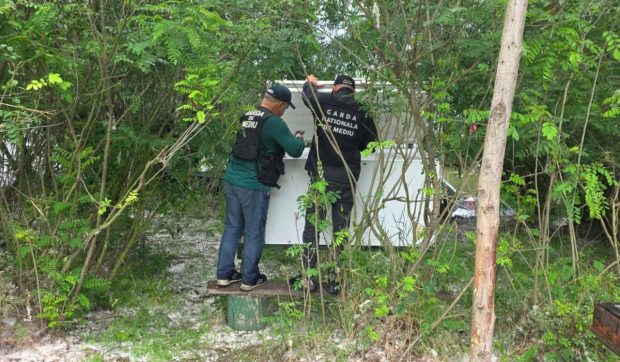 Congelator plin cu sturioni, ascuns pe malul Dunării de patronul unui restaurant