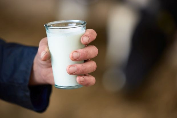 Fermierii români din sectorul laptelui, în pragul falimentului din cauza prăbușirii prețurilor și raportărilor eronate