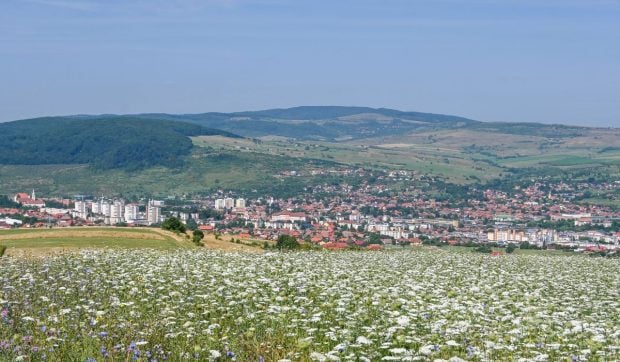 Harghita, viitoarea Regiune Gastronomică a Europei în 2027, își deschide deja traseele culinare și fermele pentru vizitatori
