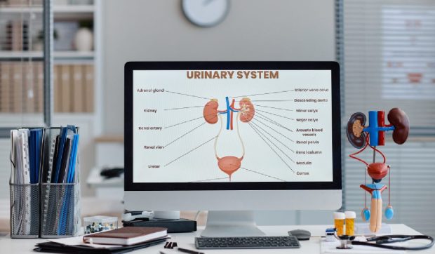 Aproape jumătate dintre pacienții de la Institutul Fundeni au fost diagnosticați cu tumori urologice, rinichii și vezica urinară dominând cazurile