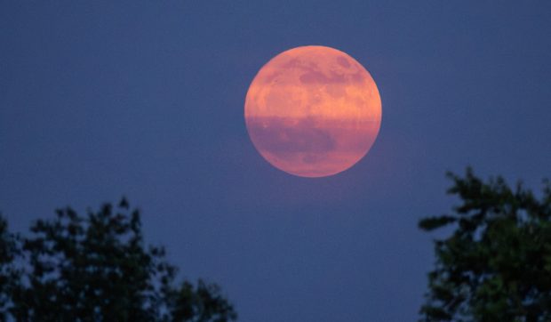 Luna Căpșună din iunie: când și cum să admiri prima lună plină a verii