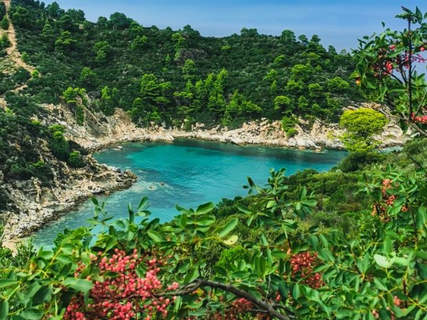 Top 7 plaje spectaculoase din Grecia pentru vara 2026, de la nisipul roz de pe Creta la peisajele unice din Milos