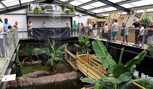 Îngrijitorii de la zoo au sărit în groapa cu crocodili să salveze un băiețel de 3 ani care fusese aruncat înăuntru