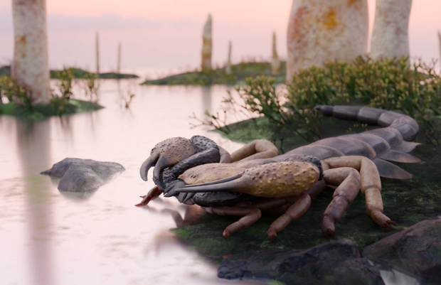 Fosilele din muzeu dezvăluie un scorpion uriaș de acum 415 milioane de ani