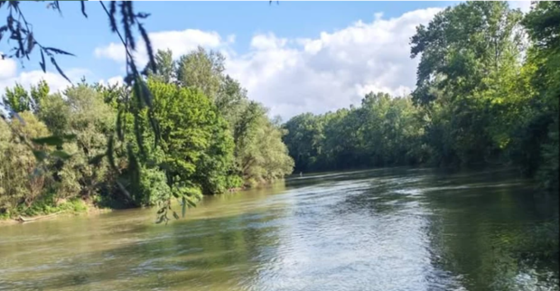 Parcela de vis de pe malul unui râu din Serbia, scoasă la vânzare cu preț surprinzător de avantajos