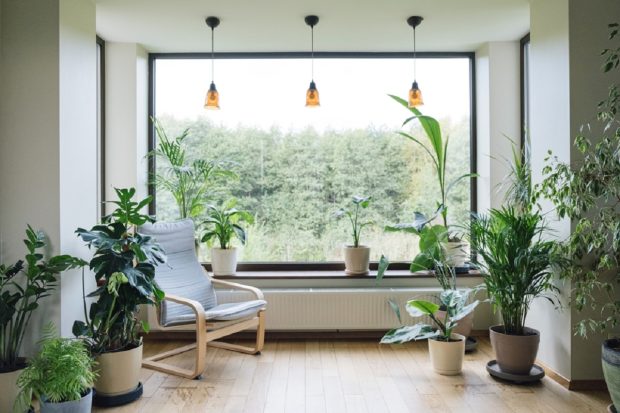 Transformă-ți locuința într-o oază verde cu stilul „urban jungle”