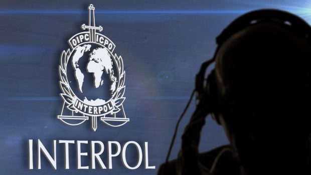 142.000 de victime și 5.800 de persoane arestate după o operațiune INTERPOL în aproape 100 de țări, inclusiv România