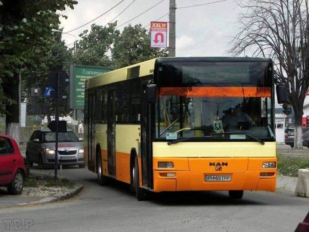 Libertatea
