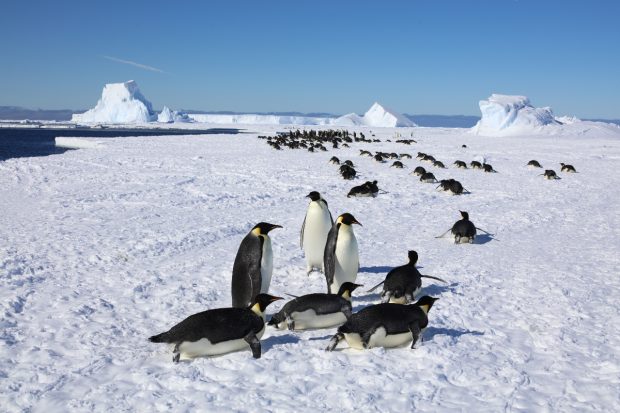 Cea mai scăzută temperatură de pe Pământ din ultimii 14 ani, înregistrată în Antarctica. Termometrele au indicat -84,1°C