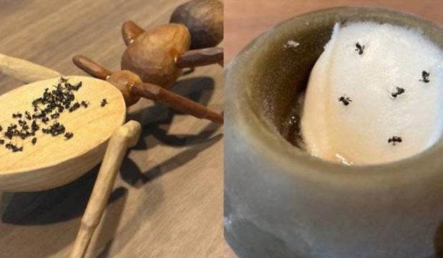 Deserturi de lux cu peste 49.000 de furnici, servite într-un restaurant cu două stele Michelin. Acum patronul riscă închisoarea
