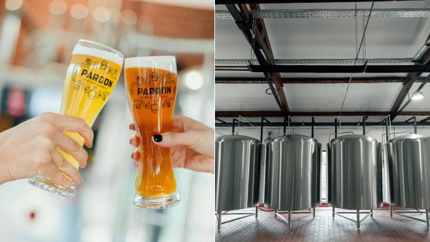 Cum se fabrică o bere artizanală veritabilă: „Sunt folosite doar patru ingrediente”. La scară industrială, fermentația este accelerată de la 4-6 săptămâni la 5-7 zile