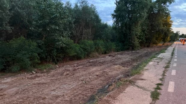 Controverse privind modernizarea falezei Dunării din Galați: aproximativ 1.000 de arbori vor fi tăiați