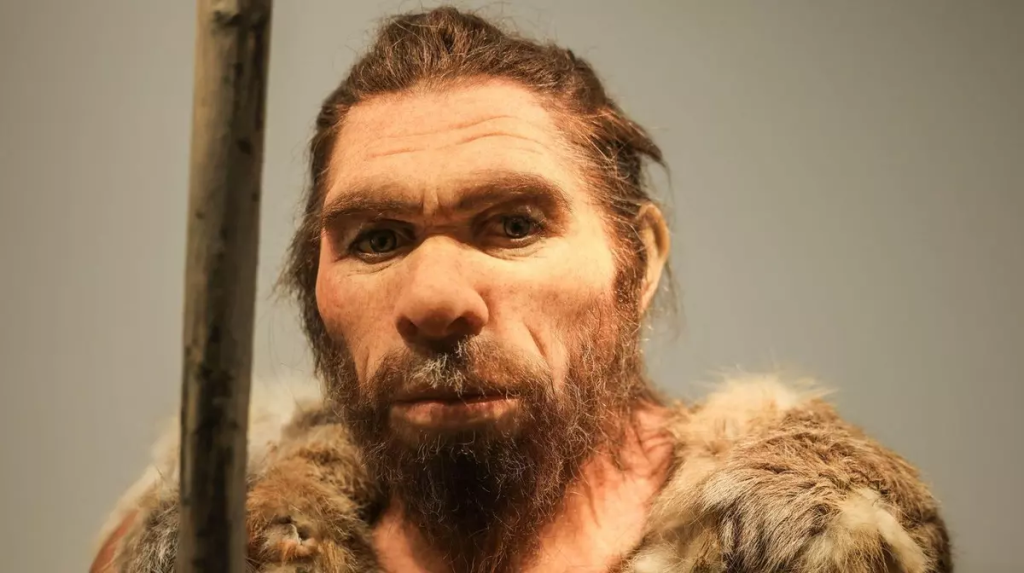 Capsula timpului din Israel. O peșteră neatinsă de 400.000 de ani rescrie ce știam despre pre-neanderthalieni