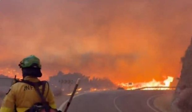 Tragedie în Andaluzia: 12 persoane au murit într-un incendiu violent de vegetație în provincia Almería