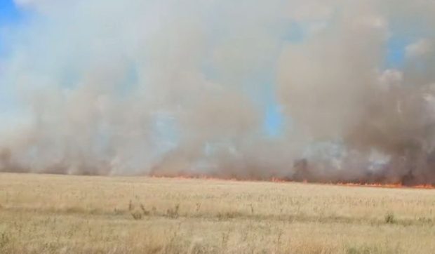 Flăcări la Gemeni, Mehedinți: 30 de hectare de culturi agricole sunt cuprinse de incendiu, pompierii acționând pentru protecția locuințelor